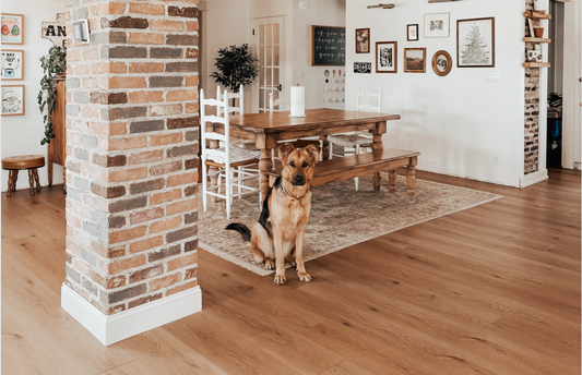 MENDOCINO by Angela Rose Stoneform in a dining room with a dog