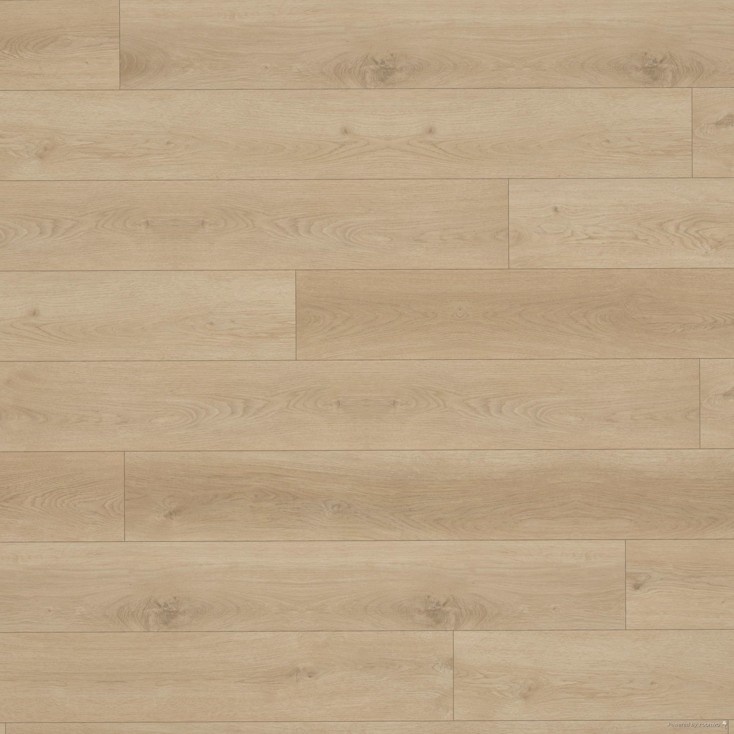 Angela Rose Elite Shore Hewn Stoneform luxury flooring plank swatch